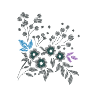 Chrysanthemum Wedding