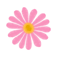 Chrysanthemum Wedding