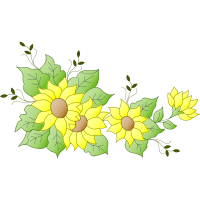 Chrysanthemum Wedding