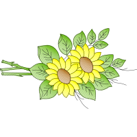 Chrysanthemum Wedding