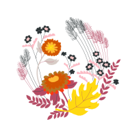 Chrysanthemum Wedding