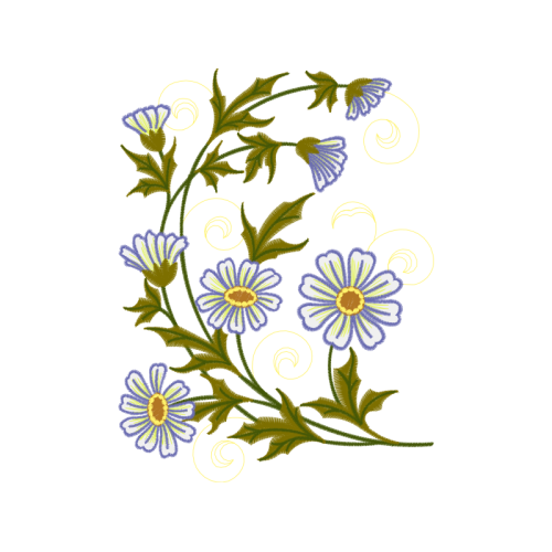 Chrysanthemum Wedding Chrysanthemum Wedding