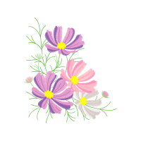 Chrysanthemum Wedding