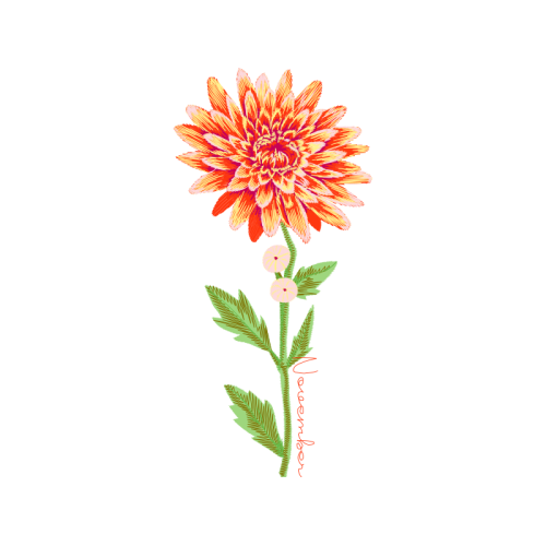 Chrysanthemum Wedding Chrysanthemum Wedding