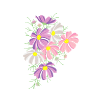 Chrysanthemum Wedding Chrysanthemum Wedding