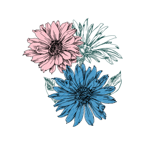 Chrysanthemum Wedding Chrysanthemum Wedding