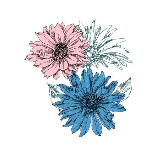 Chrysanthemum Wedding Chrysanthemum Wedding