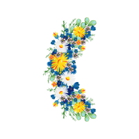 Chrysanthemum Wedding Chrysanthemum Wedding