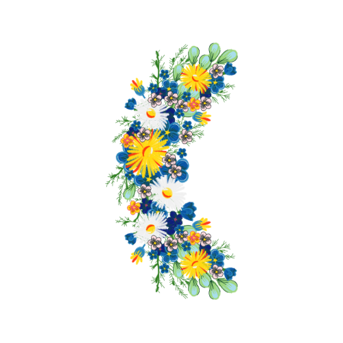 Chrysanthemum Wedding Chrysanthemum Wedding