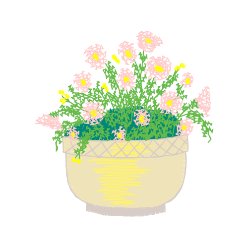 Chrysanthemum Wedding Chrysanthemum Wedding