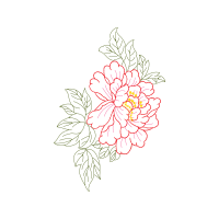 Chrysanthemum Wedding