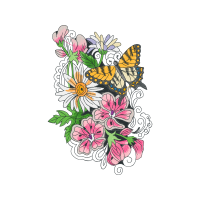 Chrysanthemum Wedding