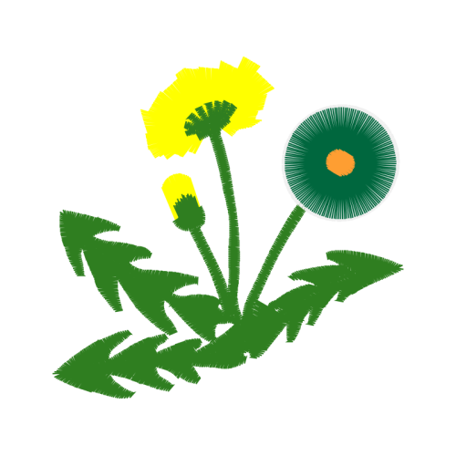 Chrysanthemum Wedding Chrysanthemum Wedding