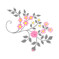 Chrysanthemum Wedding