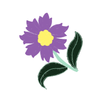 Chrysanthemum Wedding Chrysanthemum Wedding