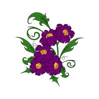 Chrysanthemum Wedding