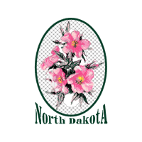 Ciudad Del Carmen Wedding