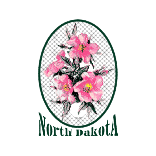 Ciudad Del Carmen Wedding Ciudad Del Carmen Wedding