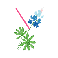 Clip Art Wedding Clip Art Wedding