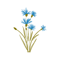 Cluster Lilies Wedding