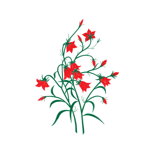 Color Wedding Color Wedding