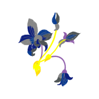 Colorado Blue Columbine Wedding