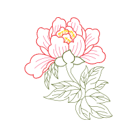 Common Peony Wedding