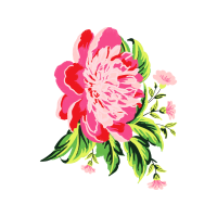 Common Peony Wedding