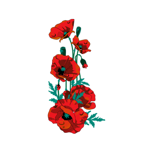 Common Poppy Wedding Common Poppy Wedding