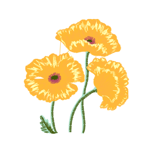 Common Poppy Wedding Common Poppy Wedding