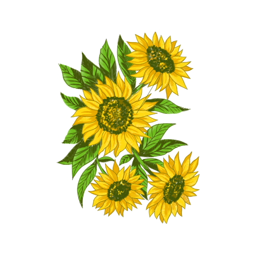 Common Sunflower Wedding Common Sunflower Wedding