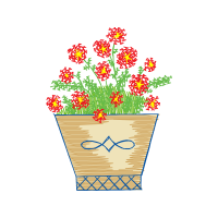 Common Zinnia Wedding