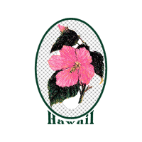 Compact Disc Wedding