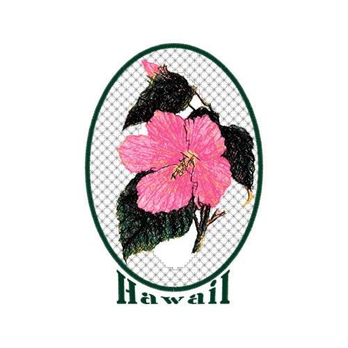 Compact Disc Wedding Compact Disc Wedding