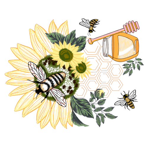 Coneflowers Wedding Coneflowers Wedding