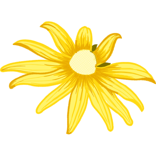 Coneflowers Wedding Coneflowers Wedding