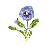 Crane S Bill Wedding Crane S Bill Wedding