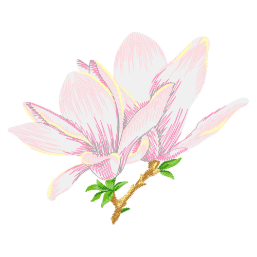 Crinum Wedding Crinum Wedding