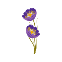 Crocus Wedding Crocus Wedding