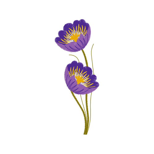 Crocus Wedding Crocus Wedding