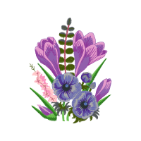 Crocus Wedding Crocus Wedding