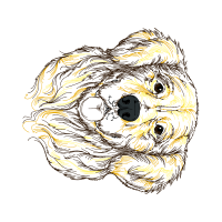 Cut Flowers Wedding Cut Flowers Wedding