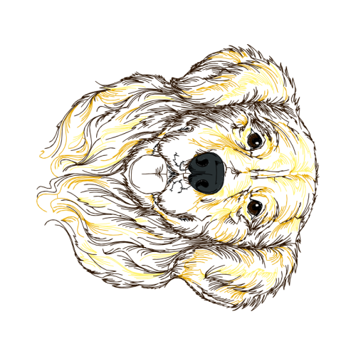 Cut Flowers Wedding Cut Flowers Wedding