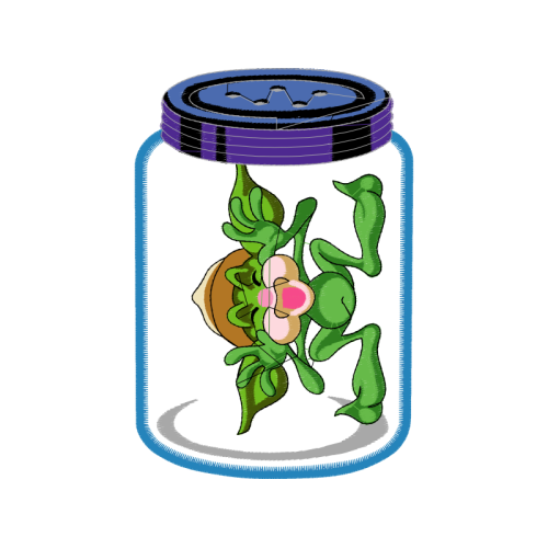 Cut Flowers Wedding Cut Flowers Wedding