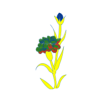 Cut Flowers Wedding Cut Flowers Wedding