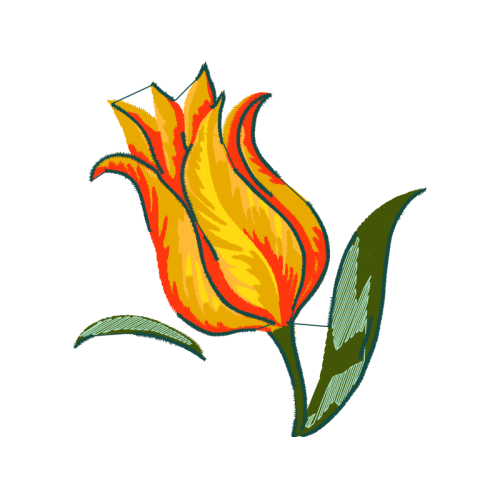 Cut Flowers Wedding Cut Flowers Wedding