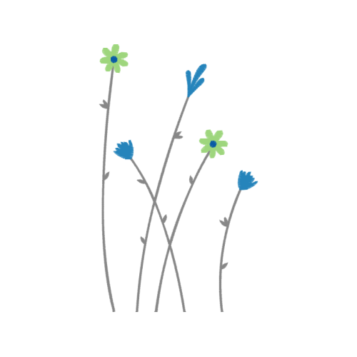 Dandelions Wedding Dandelions Wedding