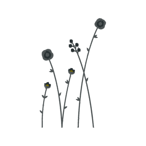 Dandelions Wedding Dandelions Wedding