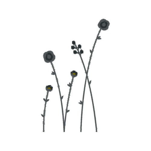 Dandelions Wedding Dandelions Wedding