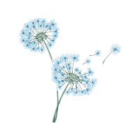 Dandelions Wedding Dandelions Wedding